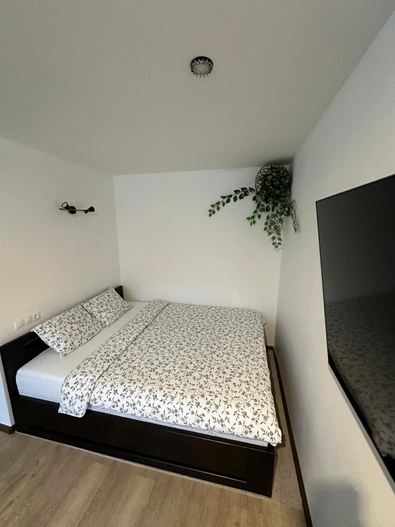 Studio Apartment Valmiera Εξωτερικό φωτογραφία